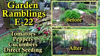 Pepper Planting Tips, Tomatoes, Direct Seeding Cucumbers & More: Garden Ramblings Tips & Tour E-22