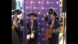 Мексиканская группа " Mariachi Serenada"  8-926-924-94-72 (Анибал)