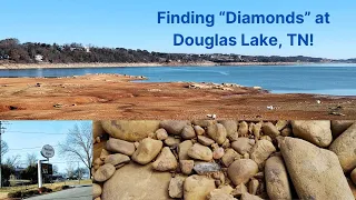 Mining for "Diamond" Crystals at Douglas Lake in East Tennessee!