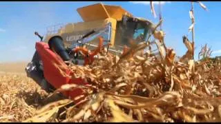 Geringhoff Rota Disc Elite harvesting in down corn