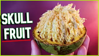 BAEL FRUIT - This Hard Shelled Fruit is Full Of Delicious Pulp! (+ Juice Recipe & Shell Crafts!)