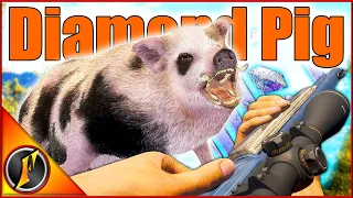 HUGE Diamond Black Spots Feral Pig on Australia! | Emerald Coast Multiplayer