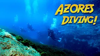 Underwater Adventures in the AZORES!