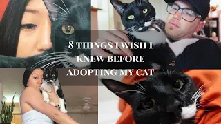 8 THINGS I WISH I KNEW BEFORE ADOPTING A CAT