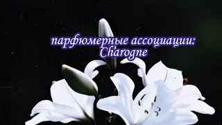 Парфюмерные ассоциации: ELDO Charogne