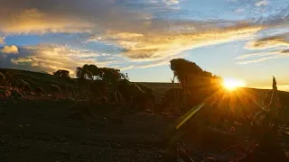 Kilimanjaro Machame Route 2023