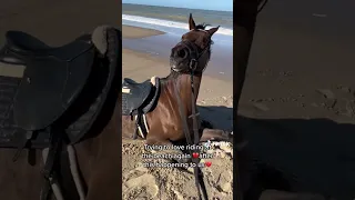 Sad Equestrian TikTok 💔🥺🐴