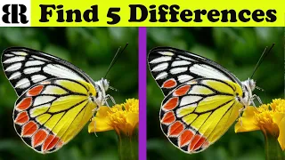 Find The Difference | Spot 5 Differences | Very Hard - Only Geniuses Find ALL | 10 Rounds| Butterfly