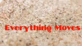 Everything Moves | complete Schleich OC mep |