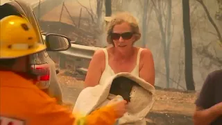 VIDEO: Woman saves koala from bushfires in Australia