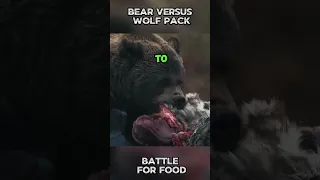 Bear versus Wolf Pack: Battle for Food #shorts #nature #animals #bear #viral