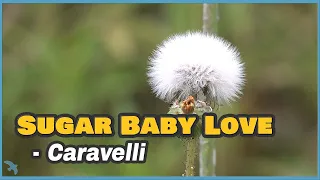 [4K] Caravelli - Sugar Baby Love 1974