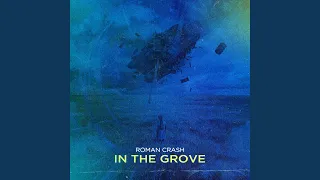 In the Grove (Radio Edit)