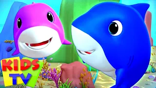 Laughing Shark Song | Baby Shark Family | Nursery Rhymes & Songs for Children - Kids Tv.