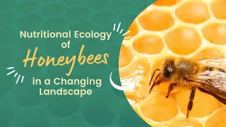 Nutritional Ecology of Honeybees in a Changing Landscape