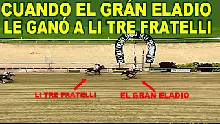 EN ESTA CARRERA,EL EJEMPLAR EL GRAN ELADIO,LE GANA AL CAMPEÓN ,LI TRE FRATELLI./LA RINCONADA