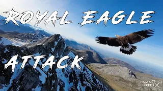 My first fixed wing FPV flight in the mountains turns to chaos - Royal Eagle attack