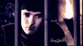 Merlin & Cara {Stay}
