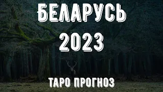 Что Ждёт Беларусь и Беларусов в 2023 году. Таро Прогноз на год. #Миламакстаро