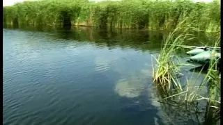 Ловля карася и белой рыбы на Поплавочную Удочку. "О Рыбалке Всерьез" видео 31.