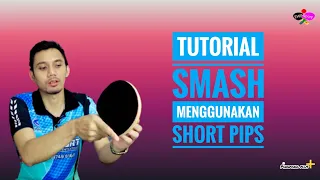 SMASH using SHORT PIPS || BASIC || TUTORIAL