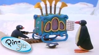 Pingu and the Barrel Organ 📣 | Pingu Official | Cartoons for Kids