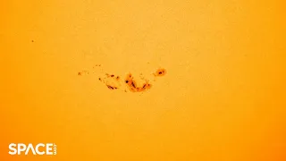Watch sunspot AR3664 grow into a giant in 3-day time-lapse