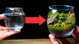 Turning a Drinking Glass Into a Terrarium!
