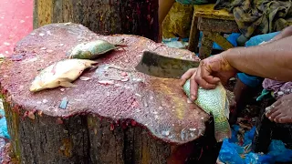 Incredible Giant Mirror Carp Fish Cutting | Fish Cutting Skills | Carp Fish Cutting#expertfishcutter