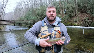 Sleet, Snow, And Air Fried Trout! Fly Fishing East Tennessee