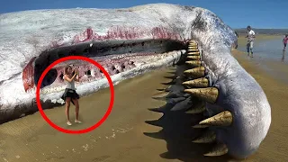 Shocking Creatures That Are Not From This Planet