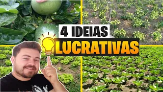 COMO GANHAR DINHEIRO COM SÍTIO PEQUENO l 4 IDEIAS LUCRATIVAS