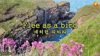 Flee as a bird, with Lyrics - 새처럼 피하라 - 영/한 자막 (마태복음 3: 7~8)