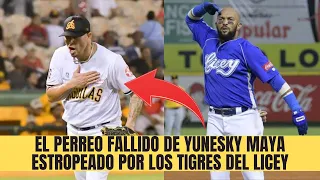 QUE VAINA! Yunesky Maya Hace Epico Perreo Y Hace Enojar A Los Tigres Del Licey