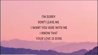 I am sorry don’t leave me (Lyrics)🙃SURAZMALLA😉