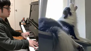 Piano Duet with Dog Singing an Amazing Opera