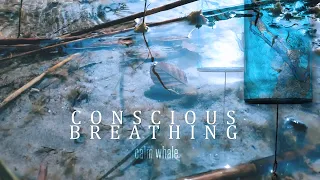 Conscious Breathing - Twin Chimes Meditation 🌊 Stress Relief with Water Element | Calm Whale