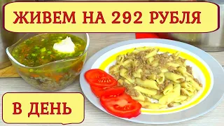 ЖИВЕМ  на 292 рубля в день! Экономное  меню на 2 дня !Завтрак обед ужин! Готовим ПРОСТЫЕ рецепты!