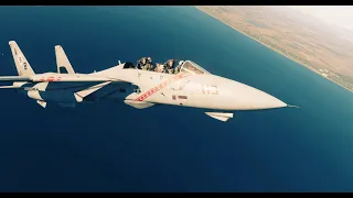 DCS F-14B Dogfighting without the Canopy! (ACE AI) Guns Only-- LISTEN HOW COOL THE SOUNDS ARE!--