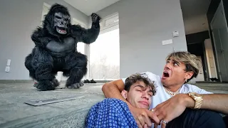 ANGRY GORILLA BREAKS INTO OUR HOUSE!