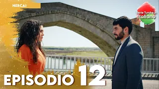 Hercai - Episodio 12