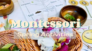 Montessori Spring Activities|Spring Activities for Toddlers and Kids #montessoriwithhart