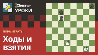 Правила шахмат: Ходы и взятия