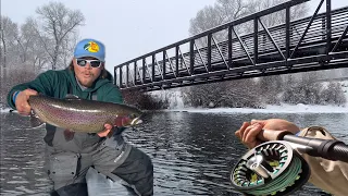 Fly-Fishing For Winter TROUT in a BLIZZARD