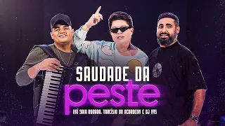 Raí Saia Rodada, Tarcísio do Acordeon e DJ Ivis - Saudade Da Peste