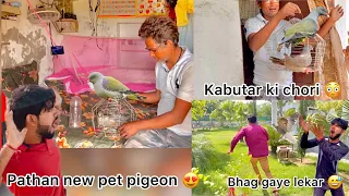 Pathan nikla kabutar chor 🤬 !! Pathan snatching pigeon in house 🏠