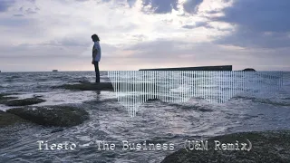 Tiësto-The Business (U&M Remix)