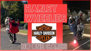 Harley Dyna Wheelies & Burnouts