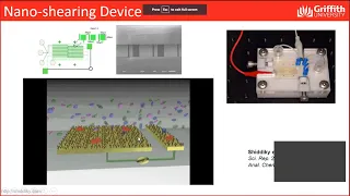 Webinar:  Plant pathogens meet a novel class of “magnetic nanozymes” for plant disease diagnostics