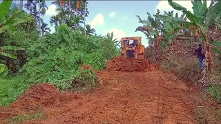 Restoring Long-Abandoned Plantation Roads With D6R XL Bulldozers